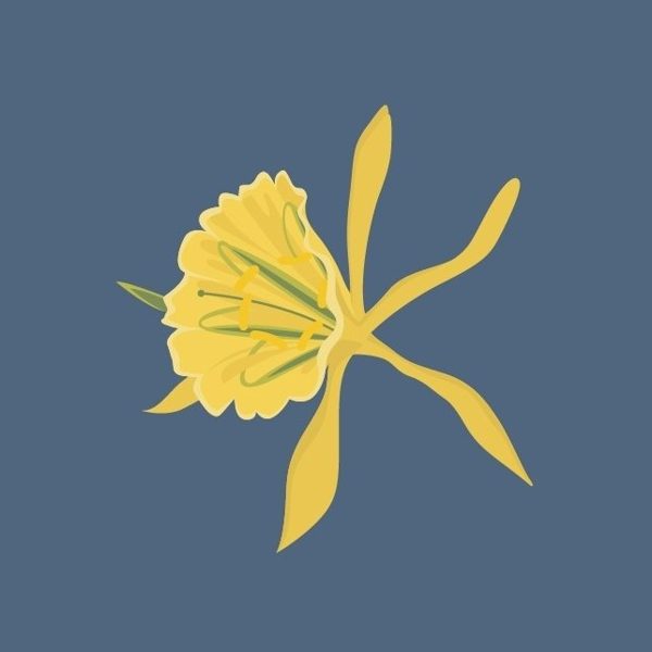Logo de Braves Running® Comm