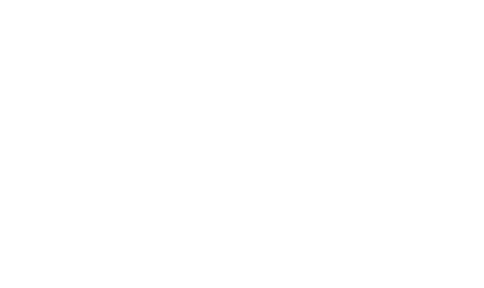 Bixotic